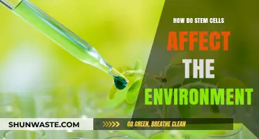 Stem Cells and Sustainability: Environmental Impacts and Future Prospects