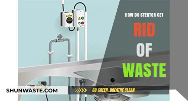 Efficient Waste Disposal in Stentor: Mechanisms and Processes Explained