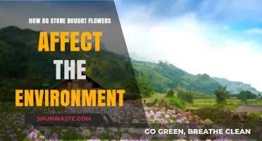 The Hidden Environmental Impact of Store-Bought Flowers