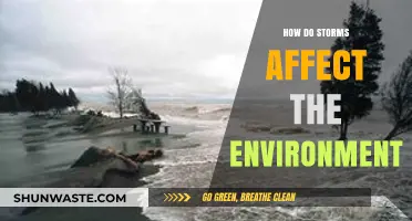 Storms' Environmental Impact: Unveiling Nature's Power on Ecosystems and Landscapes