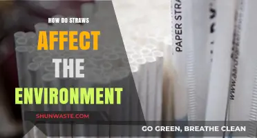 Straws' Environmental Impact: Uncovering the Hidden Harms of Convenience