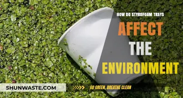 Styrofoam Trays' Environmental Impact: Pollution, Persistence, and Sustainable Alternatives