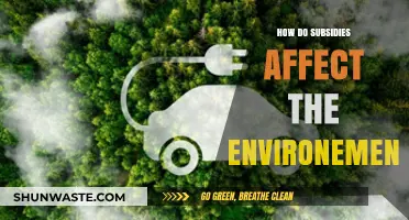 Subsidies' Environmental Impact: Uncovering Hidden Costs and Consequences