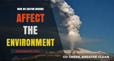 Sulfur Dioxide's Environmental Impact: Air, Water, and Ecosystem Effects