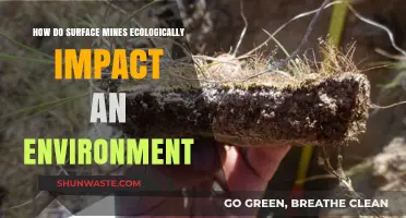 Surface Mining's Ecological Footprint: Environmental Impacts and Long-Term Consequences