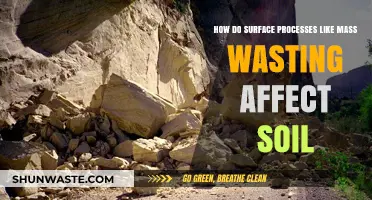 Mass Wasting's Impact: How Surface Processes Shape Soil Formation and Erosion