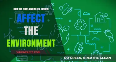 Sustainability Challenges: Environmental Impacts and Urgent Solutions for Our Planet