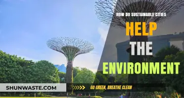 Sustainable Cities: Transforming Urban Spaces to Protect Our Environment