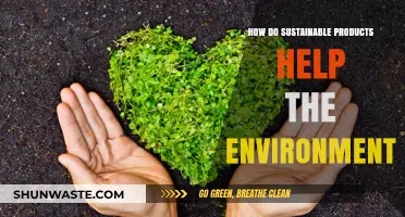 Sustainable Products: Eco-Friendly Choices for a Greener, Healthier Planet