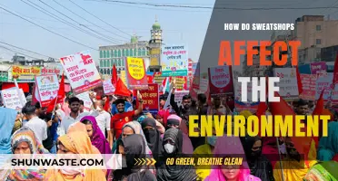 Sweatshops' Environmental Impact: Pollution, Waste, and Unsustainable Practices Explored
