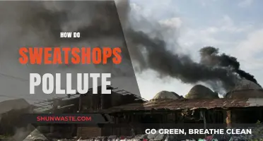 Sweatshops: Exploiting People, Polluting the Planet