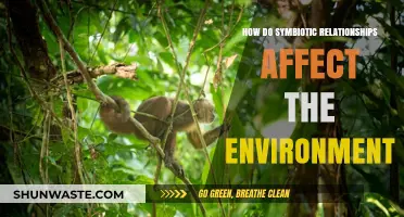 Symbiotic Relationships: Shaping Ecosystems and Environmental Balance Explained