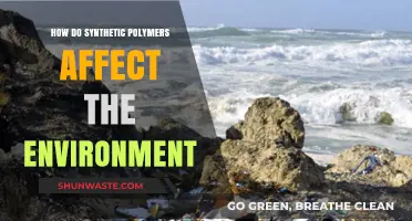 Synthetic Polymers' Environmental Impact: Pollution, Persistence, and Solutions