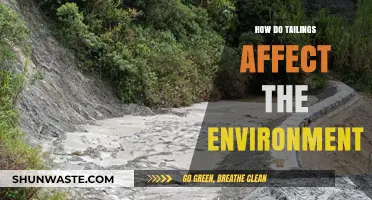 Environmental Impact of Tailings: Pollution, Risks, and Ecosystem Disruption Explained