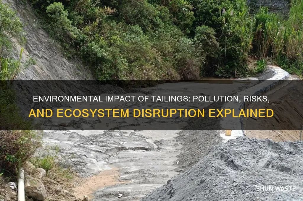 how do tailings affect the environment
