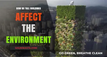 Urban Giants: Environmental Impacts of Skyscrapers and Tall Buildings
