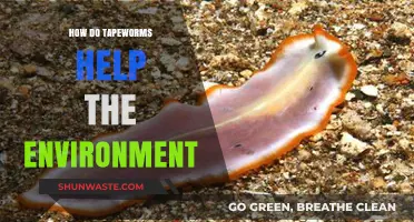 Tapeworms' Surprising Role in Ecosystem Balance and Environmental Health