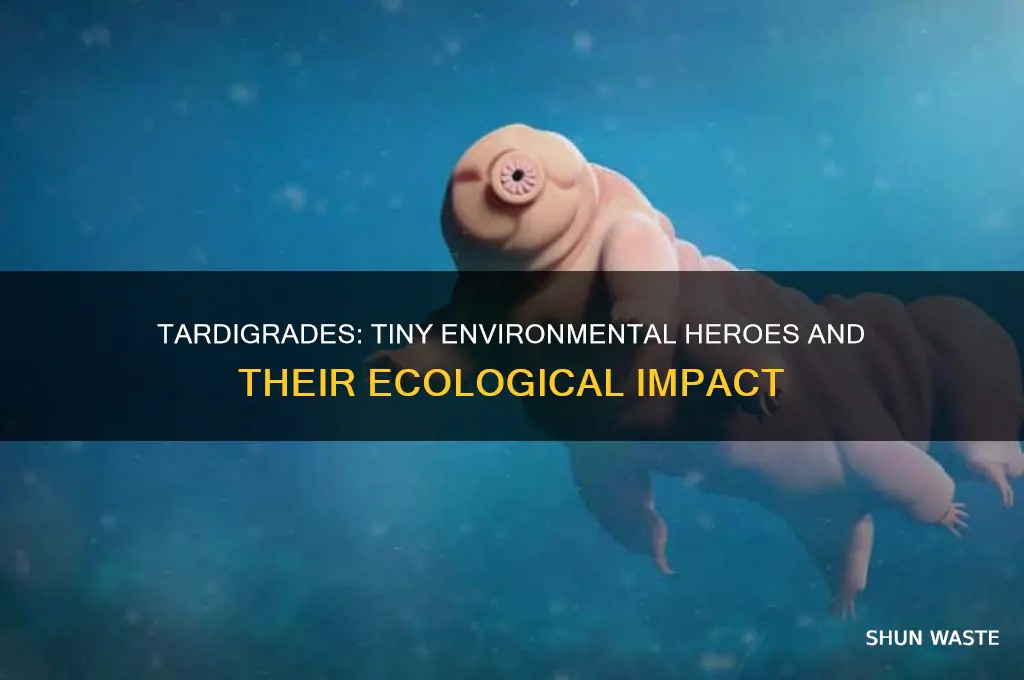 how do tardigrades help the environment