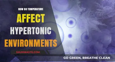 Temperature's Impact on Hypertonic Environments: Exploring Cellular Responses