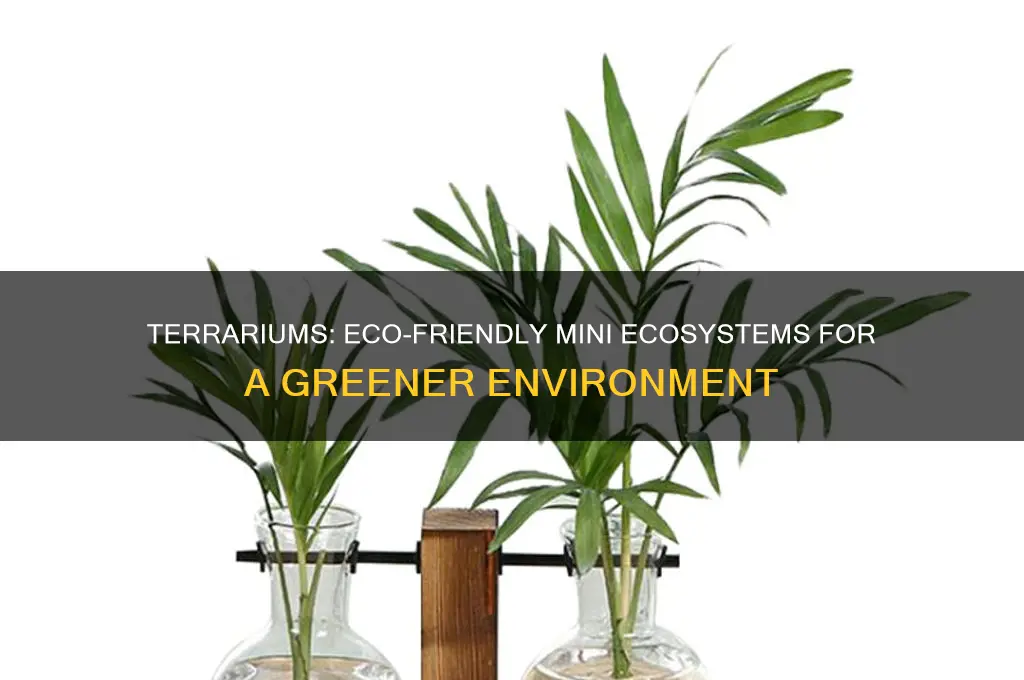 how do terrariums help the environment