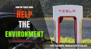 Tesla's Green Impact: How Electric Vehicles Benefit Our Environment