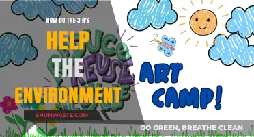 Reduce, Reuse, Recycle: The 3 R's Environmental Impact Explained