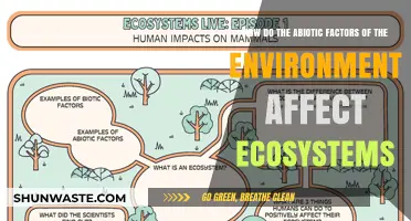 Abiotic Factors: Shaping Ecosystems and Driving Environmental Dynamics