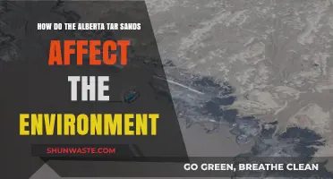 Alberta Tar Sands: Environmental Impacts and Ecological Consequences Explained