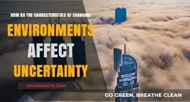 Changing Environments: Unraveling the Impact on Uncertainty and Decision-Making
