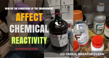 Environmental Factors: Unlocking the Impact on Chemical Reactivity Dynamics