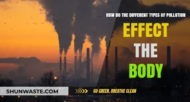 Pollution's Impact: Understanding the Health Risks of Pollution
