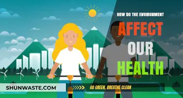 Environmental Impact on Health: Understanding the Connection and Consequences