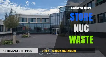 France's Nuclear Waste Storage: Innovative Solutions and Long-Term Strategies