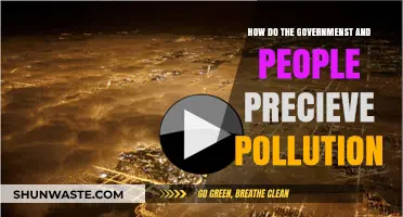 Pollution's Perception Problem: Governments vs. People