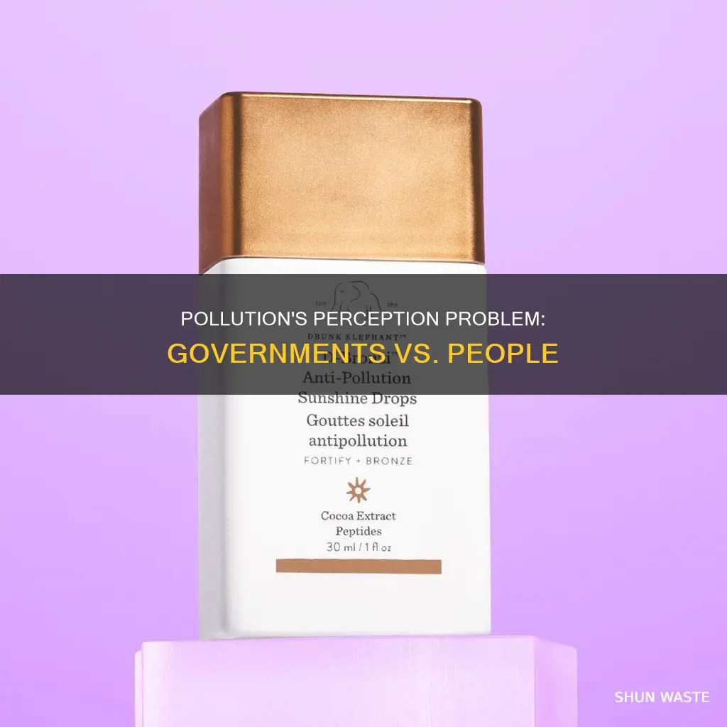 how do the governmenst and people precieve pollution