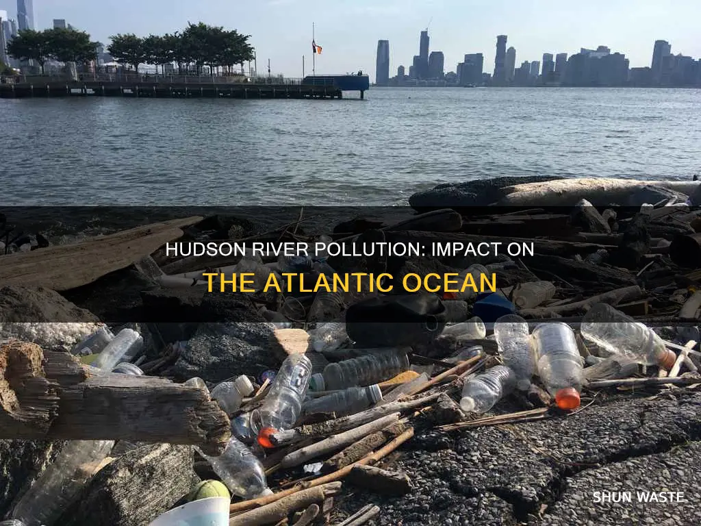 how do the hudson river pollution affect the ocean