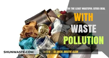 Waste-Free Cities: Strategies for Tackling Pollution