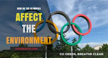 Olympic Games' Environmental Impact: Challenges and Sustainable Solutions Explored