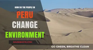 Peru's Environmental Transformation: How Communities Are Shaping Their Future