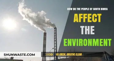 South Korea's Environmental Impact: How Citizens Shape Their Ecosystem