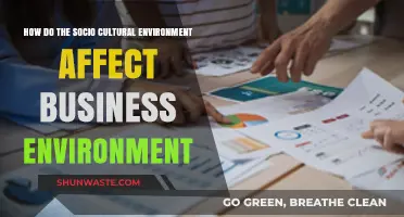 Socio-Cultural Influences: Shaping Business Environments and Strategies Globally