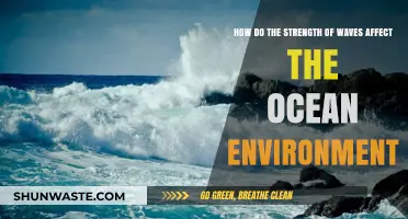 Waves' Power: Shaping Ocean Ecosystems and Coastal Landscapes