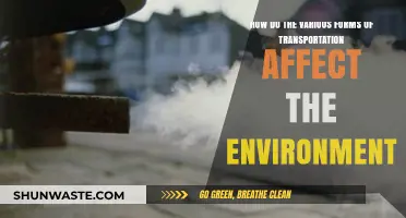 Transportation's Environmental Impact: Exploring Modes and Their Ecological Footprints