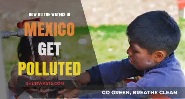 The Troubled Waters of Mexico: A Pollution Crisis