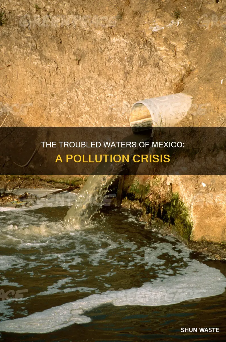 how do the waters in mexico get polluted