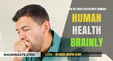 Air Pollutants: Damaging Human Health and Brain Function