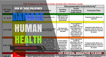 Air Pollutants: Damaging Human Health and Well-being