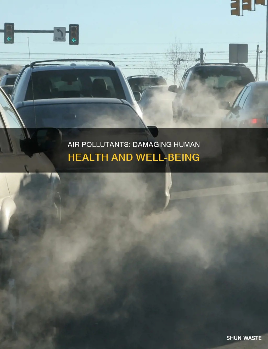 how do these pollutants damage human health