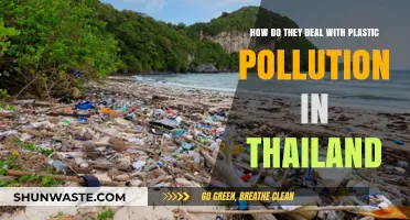 Thailand's Battle Against Plastic Pollution: Strategies and Challenges