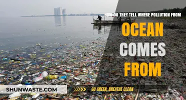Tracking Ocean Pollution: Finding the Source